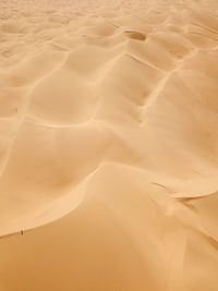 Full frame shot of sand dune