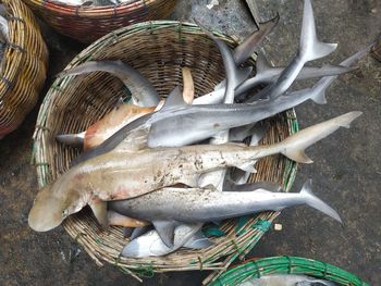 High angle view of fish for sale in market