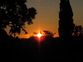 Silhouette trees against sky during sunset