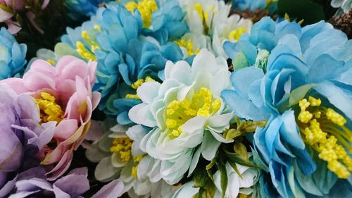 Close-up of multi colored flowers