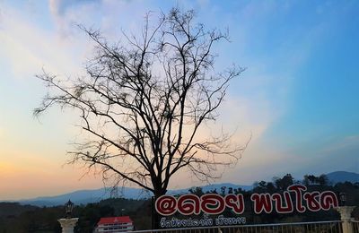 Bare tree against sky during sunset