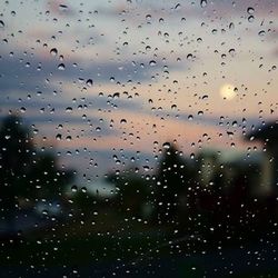 Rain drops on water surface