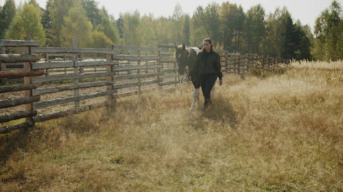 Full length of a horse standing on field