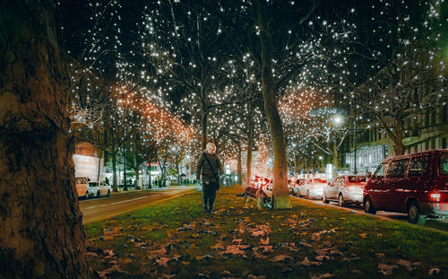 Trees by illuminated street during autumn