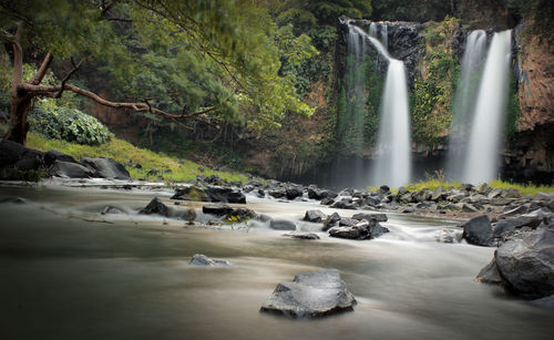 Scenic view of waterfall in forest