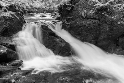 Scenic view of waterfall in forest