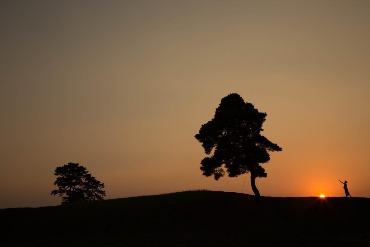 SUN SHINING THROUGH TREE