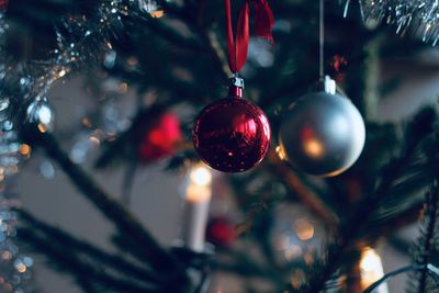 Close-up of christmas lights hanging on tree