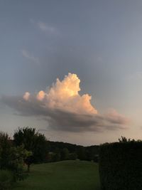 Scenic view of field against sky during sunset