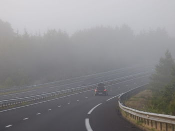 Cars on road by trees during foggy weather