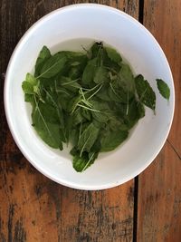 High angle view of leaves in bowl on table