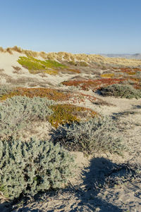 Scenic view of land against clear sky