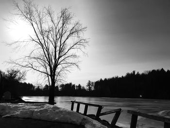 Bare trees on snow covered landscape against sky