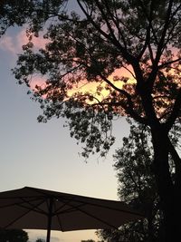 Low angle view of silhouette tree against sky at sunset