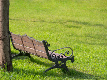 Empty bench in park