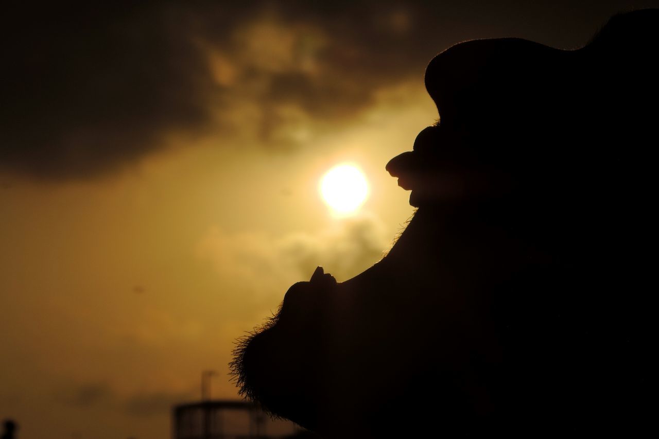 sunset, silhouette, sky, sun, low angle view, lens flare, cloud - sky, sunlight, tranquility, nature, beauty in nature, sunbeam, cloud, dusk, outdoors, scenics, back lit, no people, outline, tranquil scene