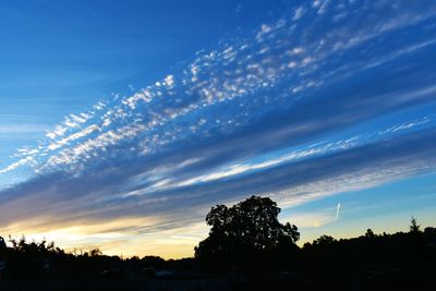 Low angle view of silhouette trees against sky during sunset