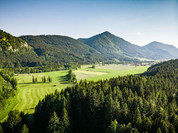 Scenic view of agricultural landscape against sky