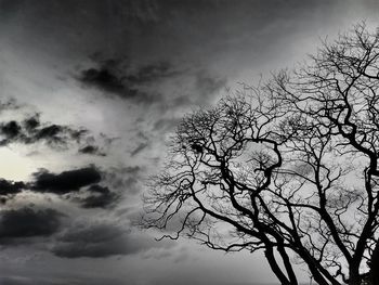 Low angle view of silhouette bare tree against sky