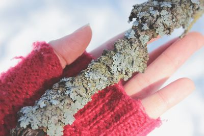 Close-up of hand holding marijuana