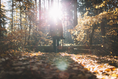 Low angle view of person standing with camera in forest during sunny day