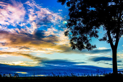 Low angle view of silhouette trees on field against sky at sunset