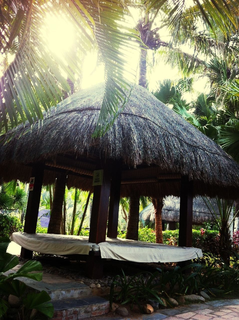 tree, chair, sunlight, table, growth, built structure, palm tree, bench, potted plant, absence, nature, plant, day, relaxation, gazebo, tranquility, park - man made space, no people, wood - material, thatched roof