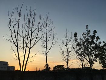 Silhouette of bare tree in city