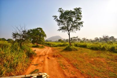 Dirt road amidst field against clear sky