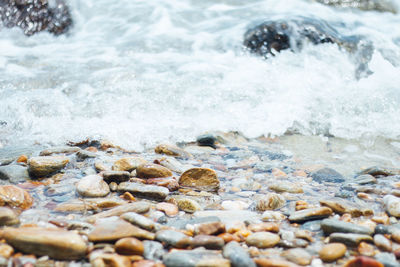 Surface level of stones in sea