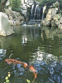 Rocks in water