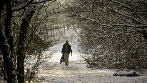 Full length rear view of man walking in forest