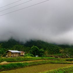 Scenic view of rural landscape