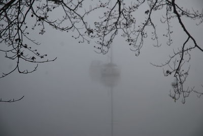 Low angle view of bare tree against sky