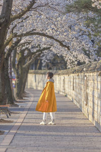 Rear view of woman walking on footpath