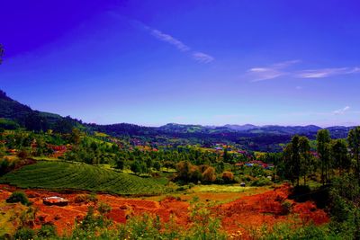 Scenic view of landscape against blue sky