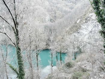 Scenic view of snow covered landscape