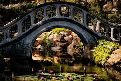 Bridge over lake