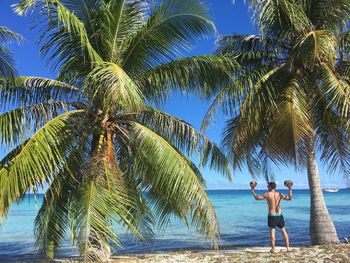 Shirtless man standing amidst palm trees at beach against sky