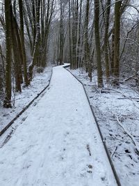 Snow covered land amidst trees in forest