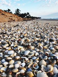 View of pebbles on beach