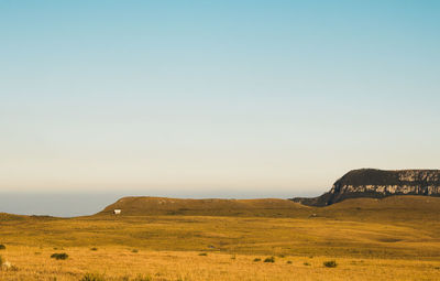 Scenic view of field against clear sky