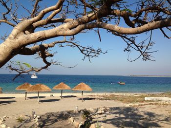 Tranquil view of beach