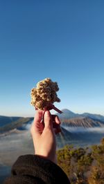 Cropped hand of person holding seashell at beach