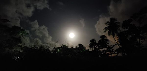 Low angle view of silhouette trees against sky at night