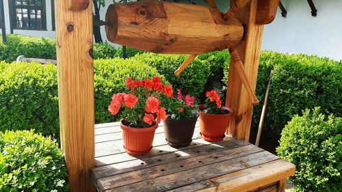 Potted plants in yard against trees