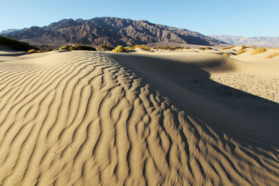 Scenic view of desert