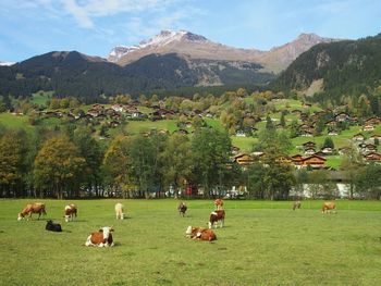 Panoramic view of people relaxing on field against sky