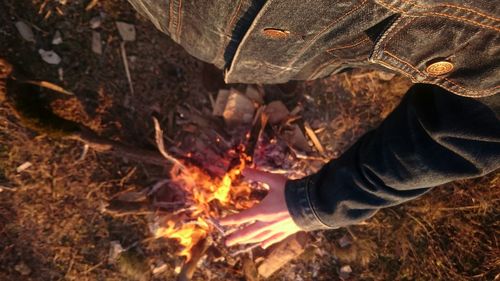 Close-up of firewood on field