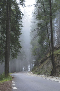 Road amidst trees against sky